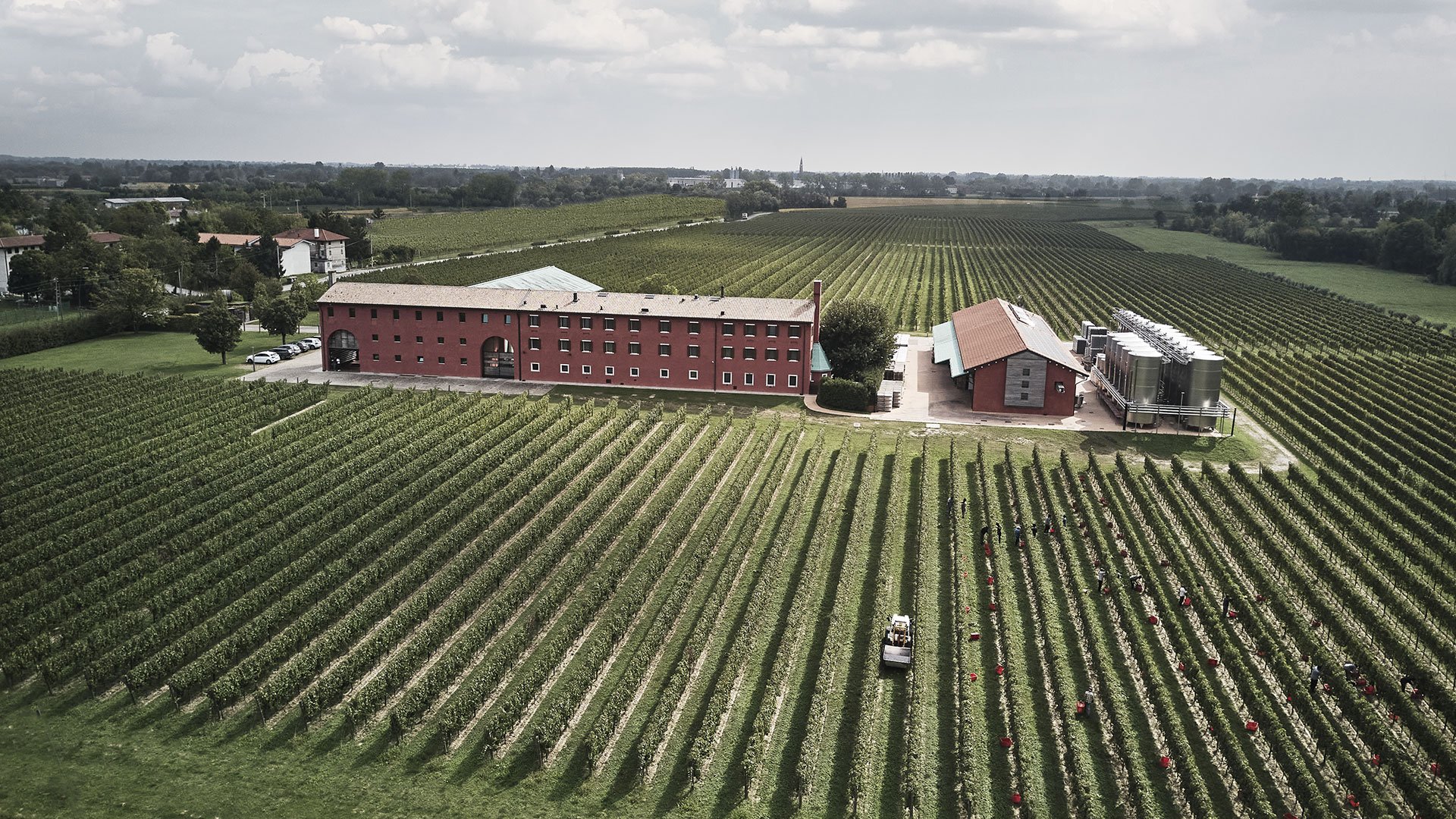 🍷 몬데 주조(モンデ酒造) 이미지 4